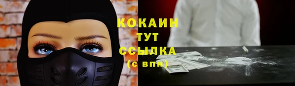 дурь Инсар