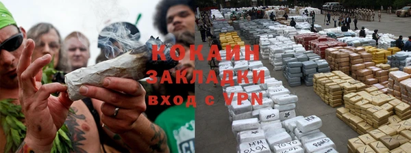 гидропоника Инта